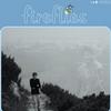 Fireflies I Was A Brontosaurus 试听