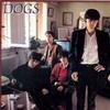 The Dogs Shakin' With Linda 试听
