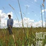 城市旅人