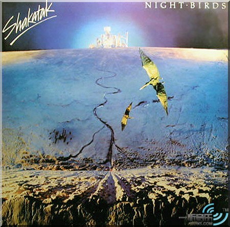 Night Birds