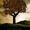 Greg Laswell How The Day Sounds 试听