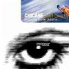 Don't Give Up (Chicane Feat. Bryan Adams)(2000)