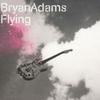 Flying