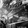 Vol.1-The Brian