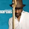 Marcus Miller Lost Without U 试听
