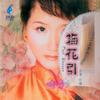 付娜 梅花引 试听
