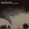 Maximilian Hecker Snow White 试听