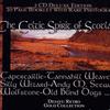 欧美杂锦合辑 Both Sides The Tweed 试听