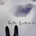 小巨蛋演唱会 - 陪我歌唱 (预购赠礼:爱人动物 Demo)