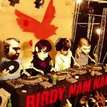 Birdy Nam Nam详情