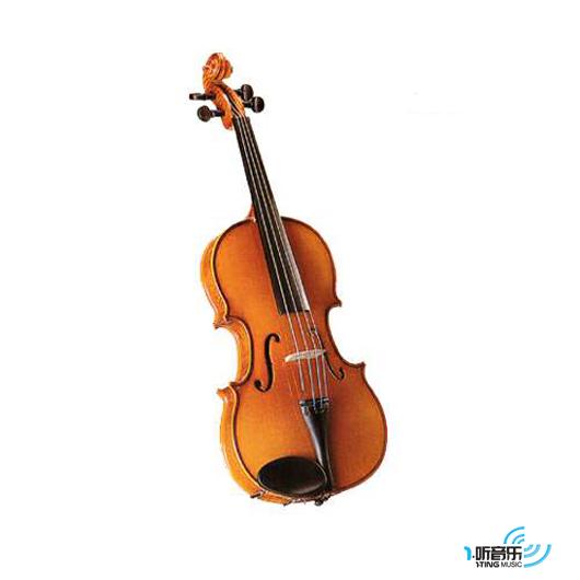 The 50 First Violins Sound - 小提琴