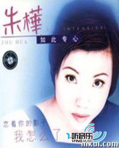 如此专心