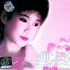 韩宝仪 恨不钟情在当年 试听