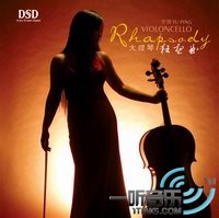大提琴·狂想曲
