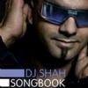 DJ Shah Who Will Find Me - feat. Adrina Thorpe 试听