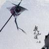 小安 美人 试听