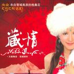 藏情详情