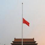 兄弟详情