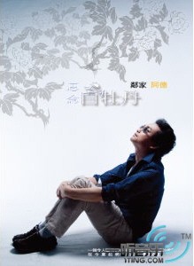 思念白牡丹