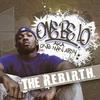 The R.E.B.I.R.T.H.