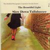 Slow Down Tallahassee The Beautiful Light 试听