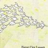Forest City Lovers Sullen Seas 试听