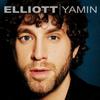Elliott Yamin