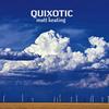 Quixotic