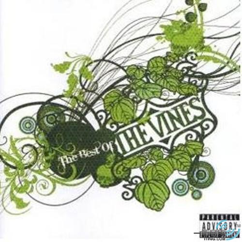 The Best of the Vines