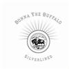 Donna The Buffalo Locket And Key 试听