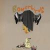 Bowerbirds Hooves 试听