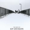 Joy Division Interview 试听