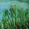 Blue Mountain Groove Me 试听