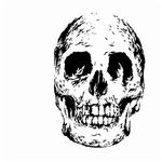 Black Ghosts详情