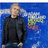 Adam Freeland In The Trees (Carl Craig Mix) 试听