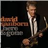 David Sanborn Basin Street Blues 试听