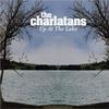 Charlatans UK, The Up At The Lake 试听