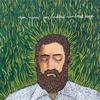 Iron & Wine On Your Wings 试听