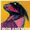 Iron & Wine Carousel 试听