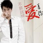 不能这样爱着你 (单曲)