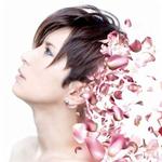 野に咲く花のように（像野外盛开的花一样）