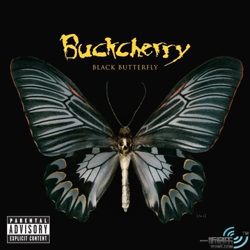 Black Butterfly