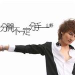 分开不一定分手 (单曲)