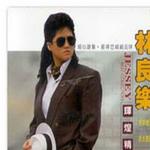 辉煌金曲详情