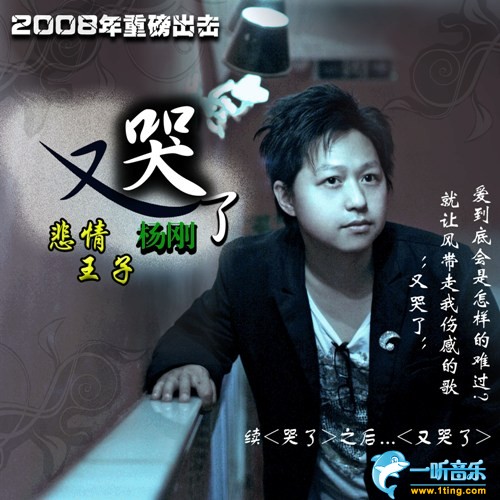又哭了 (预售版)