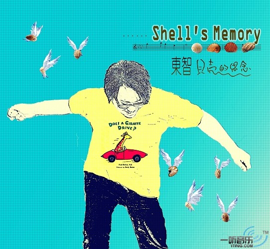 贝壳的思念