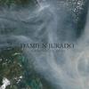 Damien Jurado Trials 试听