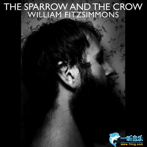 The Sparrow & The Crow