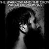 William Fitzsimmons After Afterall 试听