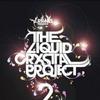 The Crystal Liquid Project 2
